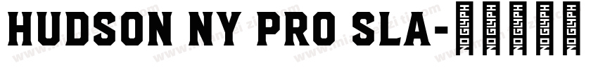 Hudson NY Pro Sla字体转换